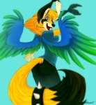 anthro blue_eyes bottomwear clothed clothing dipstick_tail feathered_wings feathers female markings pants shirt solo spikes stripes tail tail_markings tongue topwear wings conditional_dnp manda_panda sefeiren hi_res