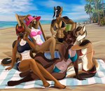 abdominal_scar abs anthro beach beach_towel big_breasts bikini black_bikini black_body black_clothing black_fur black_hair black_swimwear blonde_hair blue_bikini blue_clothing blue_swimwear bottomwear bra breasts brown_body brown_fur brown_hair clothing ears_through_headwear female fluffy fluffy_tail fur green_eyes grey_eyes group hair highlights_(coloring) multicolored_body multicolored_fur multicolored_hair pink_bikini pink_clothing pink_swimwear purple_eyes red_bikini red_clothing red_hair red_swimwear scar shorts sports_bra swimwear tail towel two-piece_swimsuit two_tone_body two_tone_fur two_tone_hair underwear wearing_sunglasses white_body white_fur white_highlights cinnameana andrea_rayne dora_schutzhund heather_griffin kaylah_sorrel piper_(quinnvalkyrja) canid canine canis domestic_dog german_shepherd herding_dog mammal pastoral_dog 2025 hi_res story story_in_description