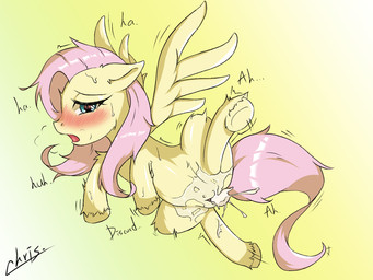 blue_eyes blush bodily_fluids cum cum_in_vagina cum_inside female genital_fluids genitals hair half-closed_eyes implied_discord_(mlp) narrowed_eyes open_mouth pink_hair shaking solo spread_legs spreading steam sweat twitching vulva wings yellow_body chris045 friendship_is_magic hasbro my_little_pony mythology fluttershy_(mlp) equid equine horse mammal mythological_creature mythological_equine pegasus pony 4:3 hi_res