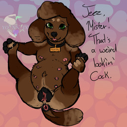 animal_genitalia animal_vulva anthro anus canine_genitalia canine_vulva collar female genitals green_eyes logo loli multi_nipple nipples nude solo spread_legs spreading teasing text tongue tongue_out vulva young young_female yonnixart darius_graves(yonnixart) canid canine canis domestic_dog mammal poodle 1:1 artist_logo hi_res trans_(lore) trans_man_(lore)