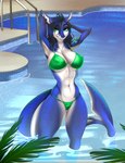 abs anthro arms_bent athletic athletic_anthro athletic_female bikini biped black_hair breasts clothing day detailed_background dripping_wet ear_piercing eyebrows eyelashes female green_eyes hair hands_behind_head legs_in_water looking_at_viewer navel nipple_outline non-mammal_breasts outside partially_submerged piercing raised_arms solo standing standing_in_water straight_legs submerged_legs submerged_tail swimwear tail_in_water tail_out_of_water two-piece_swimsuit wet aimi mikayla_(darkstar145) fish marine shark 2019 digital_media_(artwork) hi_res