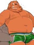 anthro belly brown_body brown_fur bulge clothing duo fur humanoid_hands kemono male moobs navel nipples overweight overweight_male shirt simple_background topwear underwear white_background kita_9999 canid canine canis domestic_dog mammal 2020 3:4 absurd_res hi_res