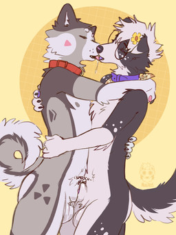 animal_genitalia anthro collar duo fluffy fluffy_tail frottage frottage_kiss genitals hug kissing male male/male penile penises_touching sex sheath sheath_kiss sheath_play sloppy_kiss tail nugitos aston_(ak1ta_one) james_(sleepy) border_collie canid canine canis collie domestic_dog herding_dog husky mammal nordic_sled_dog pastoral_dog sheepdog spitz 3:4 absurd_res hi_res