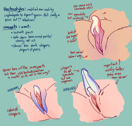 animal_genitalia big_clitoris claspers clitoris disembodied female genitals hectocotylus not_furry nude penis_tentacles solo tentacles text vulva squishysheepie nintendo splatoon shiver_(splatoon) aquatic cephalopod humanoid mollusk octarian octoling concept_art english_text multiple_versions trans_(lore)