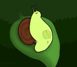 :> anus clitoris darkened_anus darkened_genitalia darkened_pussy eyestalks female gastropod_shell genitals green_body leaf lying mollusk_shell on_back on_leaf plump_labia presenting presenting_vulva shell solo vulva pincoosh gastropod mollusk snail digital_media_(artwork) signature