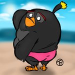 anthro beach beak belly black_body black_feathers clothing eyebrows feathers grey_body grey_feathers looking_back male multicolored_body multicolored_feathers orange_beak outside overweight overweight_anthro overweight_male pink_clothing pink_speedo pink_swimwear rear_view red_eyebrows sea seaside solo speedo swimwear water trashtoonz angry_birds rovio_entertainment sega bomb_(angry_birds) avian bird 1:1 2020 absurd_res hi_res