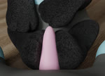 3_toes ambiguous_gender clothing duo erection feet feral first_person_view foot_fetish foot_play footjob footwear genitals male male/ambiguous male_pov paws penis sex sockjob socks toes chocomaple nintendo pokemon generation_4_pokemon luxio pokemon_(species) 3d_(artwork) 3d_animation animated digital_media_(artwork) high_framerate loop no_sound short_playtime webm