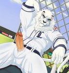 anthro baseball_bat baseball_uniform bat_(object) belt bulge clothed clothing erection fully_clothed fur genitals hair hand_behind_head humanoid_genitalia humanoid_penis looking_at_viewer male mane mascot muscular muscular_anthro muscular_male penis penis_poking_out penis_through_fly solo sportswear uniform vein veiny_penis whiskers white_body white_fur white_hair beastsauc3 nippon_professional_baseball saitama_seibu_lions leo_(saitama_seibu_lions) felid lion mammal pantherine 2019 digital_media_(artwork)