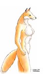 anthro blue_eyes breasts female gradient_fur navel simple_background small_hands solo standing tail tokimitsu canid canine fox mammal 1998 traditional_media_(artwork)