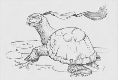 ambiguous_gender claws eyemask eyewear feral mouth_closed shell side_view solo tail twig deriaz reptile scalie turtle 2013 full-length_portrait graphite_(artwork) greyscale hatching_(art) monochrome portrait shaded traditional_media_(artwork)