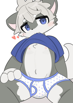 :3 anthro blue_eyes blush blush_lines briefs cheek_tuft chest_tuft clothed clothing clothing_lift eyebrows facial_tuft front_view fur grey_body grey_fur grey_hair hair heart_symbol kemono looking_at_viewer male navel nipples pantsless pink_nipples shirt shirt_in_mouth shirt_lift short_hair simple_background sitting smile solo spread_legs spreading tail topwear tuft underwear white_background white_body white_eyebrows white_fur young young_anthro young_male mujimuji1010 canid canine mammal absurd_res cel_shading colored digital_drawing_(artwork) digital_media_(artwork) hi_res shaded