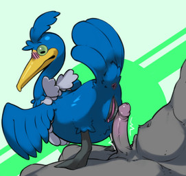 anus avian_butt balls barely_visible_balls barely_visible_genitalia beak bestiality big_penis blush blush_lines clitoris duo erection feathered_wings feathers female feral flustered genitals humanoid_genitalia humanoid_genitalia_on_feral humanoid_on_feral humanoid_penis humanoid_vulva humanoid_vulva_on_feral interspecies looking_back male male/female motion_lines nervous on_lap penis pokephilia raised_tail simple_background tail tail_anus tail_feathers teasing vulva wings undercover_bluejay nintendo pokemon avian cramorant generation_8_pokemon humanoid pokemon_(species) unknown_species