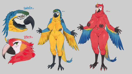 4_fingers 4_toes anisodactyl anthro areola avian_feet barbell_piercing beak big_breasts black_areola black_beak black_nipples blue_body blue_feathers blue_hair braided_hair breast_size_difference breasts curved_beak darkened_areola darkened_nipples duo feathers feet female fingers genitals green_eyes hair huge_breasts multiple_piercings navel navel_barbell navel_piercing nipple_barbell nipple_piercing nipples non-mammal_breasts nude nude_anthro nude_female piercing red_body red_feathers standing talons tattoo thick_thighs toes vulva winged_arms wings yellow_body yellow_eyes yellow_feathers sungerart diana_(sungerart) isabella_(sungerart) ara_(genus) avian bird blue-and-yellow_macaw macaw neotropical_parrot parrot scarlet_macaw true_parrot absurd_res hi_res