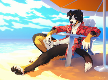 animal_genitalia anthro balls beach bodily_fluids bottomless bottomless_anthro bottomless_male chair claws clothed clothing detailed_background dipstick_tail eyewear finger_claws floppy_ears fur furniture genital_fluids genitals green_eyes looking_at_viewer lounge_chair male markings multicolored_body multicolored_fur open_clothing open_shirt open_topwear outside parasol paws penis penis_tip precum reclining sheath shirt sky solo sunglasses tail tail_markings teeth toe_claws topwear water kinsheph valden appenzeller_mountain_dog canid canine canis domestic_dog mammal molosser mountain_dog swiss_mountain_dog 2026 digital_media_(artwork) hi_res signature