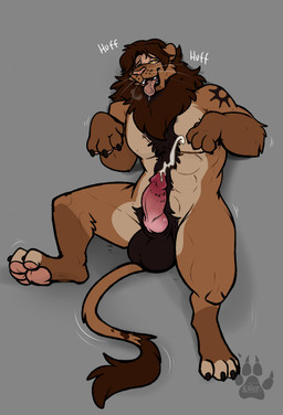 4_fingers 4_toes abs after_transformation alternate_species animal_genitalia animal_penis anthro arm_tattoo balls belly big_balls biped black_claws black_tattoo bodily_fluids body_hair breath brown_body brown_fur canine_genitalia canine_penis chest_tuft claws countershade_belly countershade_torso countershading crotch_tuft cum cum_on_belly cum_on_body cum_on_own_belly cum_on_self cumshot digitigrade dipstick_toes drooling ears_back ejaculation erection fangs feet feline_genitalia feline_penis finger_claws fingers fluffy_mane fur fur_growth fur_tattoo genital_fluids genitals glans gloves_(marking) grey_background growth half-closed_eyes handpaw hands-free happy happy_trail hybrid_genitalia hybrid_penis knot knotted_penis leg_markings lion_mane logo looking_pleasured lying male mane markings mid_transformation mismatched_genitalia mismatched_penis motion_lines multicolored_body multicolored_fur muscular muscular_anthro muscular_male narrowed_eyes nude nude_anthro nude_male on_back one_eye_closed onomatopoeia open_mouth orgasm panting pawpads paws pecs penile_spines penis pink_nose pink_pawpads pink_penis pivoted_ears pubes saliva shadow sharp_teeth shoulder_tattoo simple_background smile snout socks_(marking) solo sound_effects spread_legs spreading tail tail_motion tail_tuft tailwag tan_body tan_fur tattoo teeth text toe_claws toes tongue tongue_out transformation tuft whisker_spots whiskers yellow_eyes werewolfaboo w0lfb0y felid lion mammal pantherine artist_logo artist_name digital_media_(artwork) flat_colors hi_res