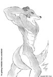 abs angry animal_genitalia anthro biped chest_floof fully_sheathed genitals male muscular muscular_male raised_arm sheath solo tail tail_between_legs foxen border_collie canid canine canis collie domestic_dog herding_dog mammal pastoral_dog sheepdog 1999 graphite_(artwork) greyscale monochrome pencil_(artwork) portrait three-quarter_portrait traditional_media_(artwork)