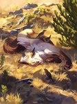 detailed_background dry_grass feral fur happy lying on_back orange_body orange_fur outside pawpads paws plant relaxing rock shadow solo tree under_shade white_body white_fur geosaiko1267 avian bird canid canine canis fox mammal 2021 detailed digital_media_(artwork) digital_painting_(artwork) hi_res