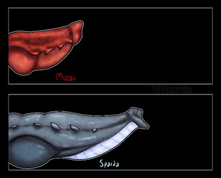 bioluminescence bioluminescent_penis black_background blue_penis chart duo genitals glowing glowing_genitalia glowing_penis grey_penis intersex knot knotted_penis maleherm penis penis_chart red_penis ridged_penis simple_background small_penis spiked_penis spikes spikes_(anatomy) text puppetmaster13uwu mythology penis_lineup dragon dragon_taur mythological_creature mythological_scalie scalie taur english_text