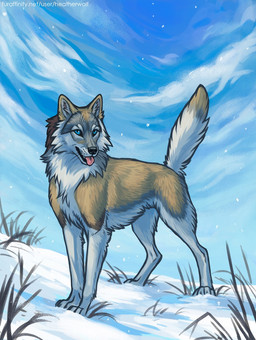 ambiguous_feral ambiguous_gender black_nose blue_eyes blue_sky brown_body brown_fur brown_tail cheek_tuft chest_tuft day dipstick_tail facial_tuft feral fur glistening glistening_eyes grass looking_at_viewer markings neck_tuft open_mouth outside pink_tongue plant side_view sky snow solo tail tail_markings tongue tongue_out tuft white_body white_fur white_tail heatherwolf callisto_(whitelupine) canid canine canis mammal wolf hi_res