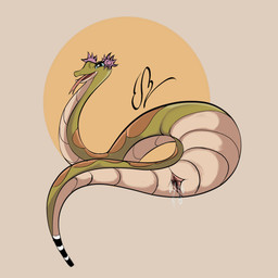 animal_genitalia cloaca female feral genitals nude simple_background smile solo tail tongue eddiebrije dreamworks kung_fu_panda master_viper reptile scalie snake viper 1:1 absurd_res hi_res