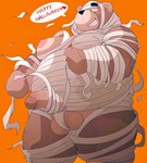 anthro balls belly big_belly brown_body clothing costume dialogue genitals halloween_costume holidays kemono male moobs mummy_costume mummy_wrappings nipples orange_background overweight overweight_male penis simple_background solo text dumdum halloween bear mammal 2023 english_text hi_res