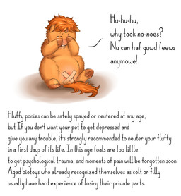 bodily_fluids crying feral genital_mutilation genital_torture male mutilation nullification nullo sad solo tears text young young_feral young_male quickhorn fluffy_pony equid equine fluffy_pony_(species) mammal english_text hi_res