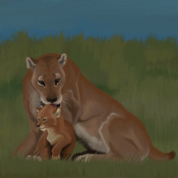 bite black_nose blue_sky duo feral field fur grass plant scruff_bite sky tan_body tan_fur whiskers white_underside young agustindiazart felid homotherium mammal prehistoric_species saber-toothed_tiger 2024 hi_res