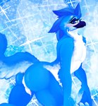 anthro blush butt femboy fluffy fluffy_tail genitals male nude penis pose solo sparkles sparkling_background tail cassielink avian bird bluebird oscine passerine thrush_(bird) digital_media_(artwork) hi_res pinup