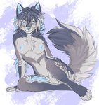 anthro areola blue_body blue_eyes blue_fur blue_hair blue_nipples breasts ear_piercing female fluffy fur hair looking_at_viewer nipples nude piercing sitting smile solo gimka victory_(taryncrimson) canid canine canis domestic_dog mammal 2020 digital_media_(artwork)