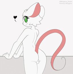 3_fingers anthro backsack balls biped black_nose butt eyelashes femboy fingers fur genitals green_eyes hair heart_symbol humanoid_hands long_tail looking_at_viewer looking_back male nude pink_tail presenting presenting_hindquarters rear_view shaking_butt short_hair simple_background small_waist smile solo standing tail text toony white_background white_balls white_body white_fur white_hair whygena reggie_(whygena) mammal mouse murid murine rodent 2018 2d_animation animated digital_drawing_(artwork) digital_media_(artwork) frame_by_frame light_theme loop portrait three-quarter_portrait url