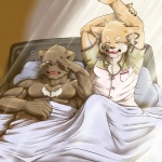 abs anthro bed biceps black_nose brown_body brown_fur duo fur furniture male male/male morning muscular open_mouth orange_body orange_fur pecs purple_eyes romantic romantic_ambiance romantic_couple tongue yawn toku 1:1