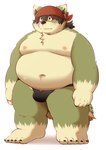 anthro belly big_belly bulge clothing green_body humanoid_hands kemono male moobs navel nipples overweight overweight_male simple_background solo underwear dosanco15 canid canine canis domestic_dog mammal 2023 hi_res