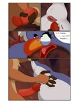 2017 absurd_res anal anatomically_correct animal_genitalia avian avian_butt balls beak bird black_eyes blue_body blue_fur border bucerotiform butt cloaca comic detailed_background dialogue digital_media_(artwork) disney duo english_text feral forced fur genitals herpestid hi_res hornbill male male/male male_rape male_raped male_raping_male mammal mcfan meerkat penis rape red-billed_hornbill sex sheath speech_bubble text the_lion_king timon white_border zazu_(the_lion_king)