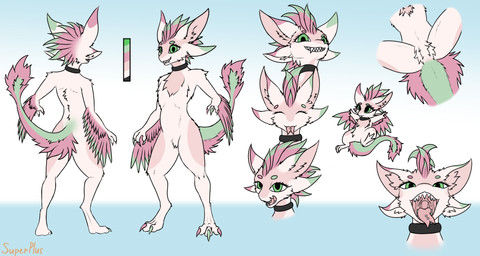 3_fingers 3_toes 4_ears anthro biped claws feathered_wings feathers feet female female_anthro fingers fluffy fluffy_tail fur looking_at_viewer mouth_shot multi_ear nude open_mouth paws piercing simple_background smile solo standing tail tail_tuft teeth toes tongue tongue_out tongue_piercing tuft white_body white_fur winged_arms wings superplus avali avian mammal digital_media_(artwork) headshot_portrait hi_res model_sheet portrait