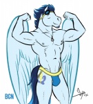 abs anthro anthrofied bulge clothing cutie_mark dog_tags eyewear facial_hair feathered_wings feathers goggles jockstrap male pose solo underwear wings bgn friendship_is_magic hasbro my_little_pony mythology soarin_(mlp) wonderbolts_(mlp) equid equine mammal mythological_creature mythological_equine pegasus 2016