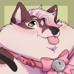 ambiguous_gender anthro bell bell_collar big_cheeks blep blush brown_body brown_fur collar fat_cheeks fur green_eyes hair hair_over_eye looking_up male obese obese_anthro obese_male overweight overweight_anthro overweight_male pink_bow pink_collar pink_hair solo tongue tongue_out chub-united holiday_(holidaysoftfox) canid canine fox mammal 1:1 hi_res portrait