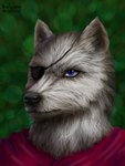 anthro black_nose blue_eyes cheek_tuft clothing facial_tuft front_view fur glistening glistening_eyes glistening_nose grey_body grey_ears grey_fur male neck_tuft red_clothing red_topwear scar simple_background solo topwear tuft skyelegs canid canine canis mammal wolf 2012 dated signature