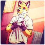 anthro bathroom biped blue_eyes border cellphone clothed clothing electronics fluffy front_view fur gloves_(marking) holding_object holding_phone looking_at_viewer male markings orange_body orange_fur phone pose selfie shirt solo standing topwear white_body white_border white_fur seaside_(artist) orithan canid canine fox mammal 1:1 2016 digital_media_(artwork) hi_res