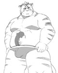 anthro belly blush bulge clothing detailed_bulge genital_outline humanoid_hands kemono male moobs nipples overweight overweight_male penis_outline simple_background solo underwear white_background sv_grart tamacolle hitachi_(tamacolle) felid mammal pantherine tiger 2023 hi_res monochrome