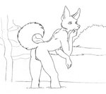 anthro backsack balls bent_over butt detailed_background fur genitals grass humanoid_hands male nude partially_submerged plant raised_tail rock shrub snout solo standing_in_water tail waterfall kestral_(artist) canid canine fox mammal 2002 black_and_white line_art monochrome