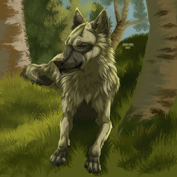 ambiguous_gender blue_sky brown_nose eyes_closed feral fur grass grey_body grey_fur lying mouth_closed on_front outside plant shrub sky solo text tree white_body white_fur msdeadsoul canid canine mammal 1:1 2021 artist_name dated english_text hi_res