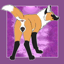 animal_genitalia animal_vulva anus bedroom_eyes black_body black_ears black_face black_fur black_nose black_pawpads black_paws black_tail black_vulva butt canine_genitalia canine_vulva claws dipstick_tail facial_markings female feral fluffy fluffy_tail fur genitals gloves_(marking) head_markings leg_markings leg_tuft long_snout looking_at_viewer markings multicolored_body multicolored_ears multicolored_fur multicolored_tail narrowed_eyes orange_body orange_face orange_fur orange_tail pawpads paws pink_anus pink_background presenting presenting_anus presenting_vulva purple_background purple_eyes quadruped rear_view seductive simple_background smile snout socks_(marking) solo tail tail_markings three_tone_face tuft vulva white_body white_ears white_face white_fur white_tail mechanical_monster_factory canid canine mammal maned_wolf 1:1 2025 absurd_res digital_media_(artwork) hi_res