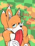 anthro big_penis dialogue duo first_person_view fur genitals glistening glistening_body glistening_fur huge_penis looking_at_viewer male male/male oral penis text jojobiz sega sonic_the_hedgehog_(series) knuckles_the_echidna miles_prower canid canine echidna fox mammal monotreme 3:4 english_text hi_res