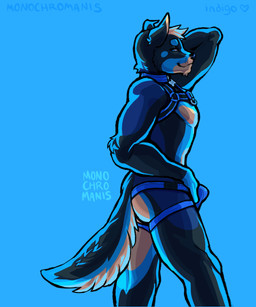 anthro bulge chest_harness clothing collar countershade_accent hand_behind_head harness jockstrap looking_at_viewer male one_ear_up solo standing tail underwear monochromanis roy_the_dog canid canine canis domestic_dog husky mammal mastiff molosser nordic_sled_dog rottweiler spitz hi_res