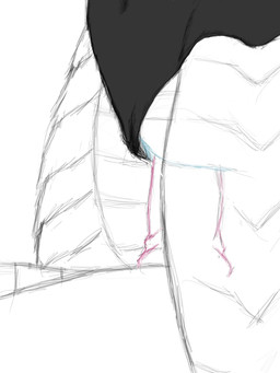 anthro close-up clothing cowgirl_position duo erection female female_on_top female_penetrated from_front_position genitals male male/female male_on_bottom male_penetrating male_penetrating_female on_bottom on_top penetration penile penile_penetration penis penis_in_vagina scales sex straddling swimwear vaginal vaginal_penetration vulva koosh-ball ambiguous_species scalie 2d_animation 3:4 animated hi_res