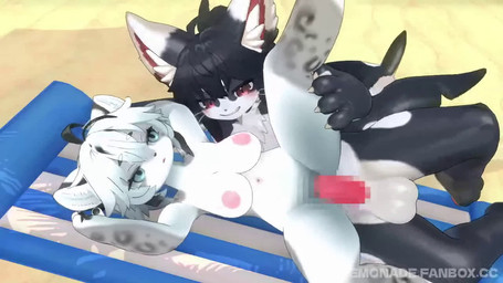 anthro balls beach big_breasts big_penis bouncing_balls breasts duo erection female fur genitals lying male male/female moan nipples penis public public_nudity public_sex sex vaginal white_body white_fur kemonade chalo_(mofuaki) haishima aquatic cetacean dolphin felid feline hybrid mammal oceanic_dolphin orca toothed_whale 16:9 3d_(artwork) 3d_animation animated censored digital_media_(artwork) high_framerate long_playtime mosaic_censorship sound video widescreen