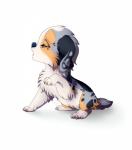 ambiguous_gender black_body black_fur blue_eyes blue_nose feral fur grey_hair hair paws simple_background sitting solo tan_body tan_fur white_background white_body white_fur rikitoka canid canine canis domestic_dog mammal hi_res