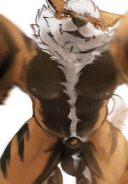 animal_genitalia anthro anthrofied barazoku black_nipples body_hair genitals happy_trail low-angle_view male multicolored_body muscular muscular_male nipples nude orange_eyes pecs penis penis_tip pokemorph sheath simple_background solo white_background worm's-eye_view stampmats nintendo pokemon arcanine generation_1_pokemon pokemon_(species) animated timelapse