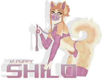 animal_mask anthro collar femboy latex leash male mask muzzle_(object) muzzled pup_mask solo submissive submissive_male hemic shilo_(hemic) canid canine canis domestic_dog husky mammal nordic_sled_dog pomeranian spitz hi_res