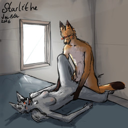 anthro bed blush dipstick_arms dipstick_ears dipstick_tail duo ear_markings eyes_closed female fur furniture grey_body grey_fur happy happy_sex male male/female markings multicolored_ears on_bed orange_body orange_fur penetration sex tail tail_markings vaginal vaginal_penetration starlithe canid canine fox mammal